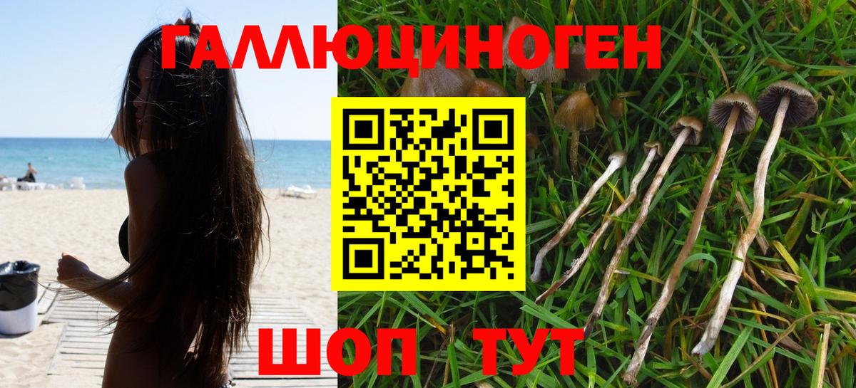 Галлюциногенные грибы Cubensis  Псилоцибиновые грибы прущие грибы  Вход с VPN  Великий Устюг 